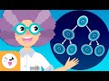 Células e Estruturas Biológicas