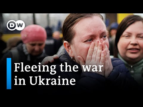More than 7.7 million internally displaced in Ukraine | DW News