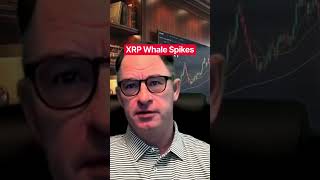 XRP Whale Spikes #xrp #crypto @digitalassetinvestor
