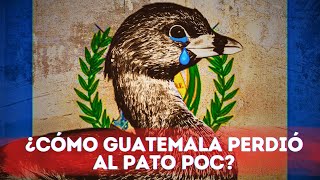 ¿Cómo se extinguió el Pato Poc en Guatemala? 🪿 Tragedia en el Lago Atitlán 😔