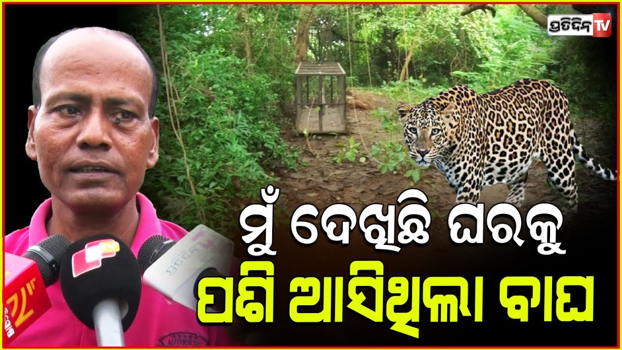 ରାଜଧାନୀରେ ବାଘ ବୁଲୁଛି , ଶୀଘ୍ର ଧରନ୍ତୁ ରାତିରେ ଚାଲିଆସିବ l Leopard Sighted Near Bhubaneswar Airport