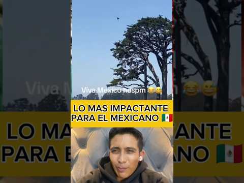 Solo mexicanos de corazón lo entenderán