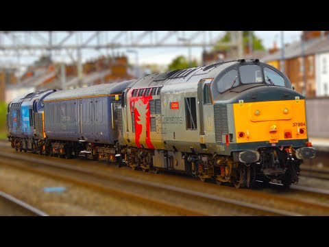 Stafford Freight Trains - 8.4.24