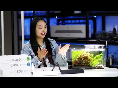 MicMol SOLO Planted Aquarium Light Intro by Alice