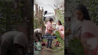 Reaching independence through sustainable farming | DW Documentary