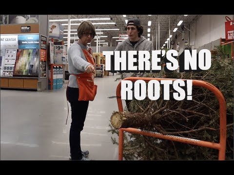 RETURNING CHRISTMAS TREE PRANK
