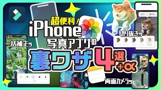 📱iPhoneユーザー必見！写真アプリの便利機能、実はこんなにあったんです｜Wondershare Filmora