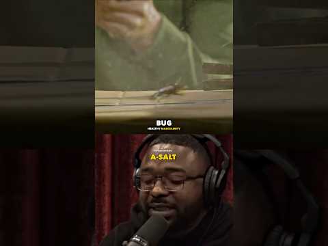 Joe Rogan Reacts To Bug-A-Salt Gun