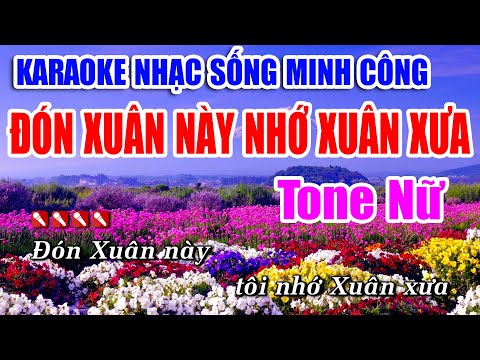 Đón Xuân Này Nhớ Xuân Xưa Karaoke Tone Nữ ( Cm ) Nhạc Xuân 2025 | NHẠC SỐNG MINH CÔNG