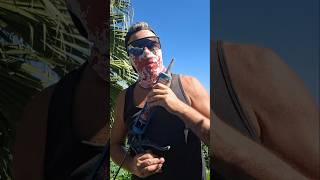 Super Sharp Shooter Shooting Grout 💦🔫 🧱 #renovation #building #patio #gardendesign #islandlife #vlog