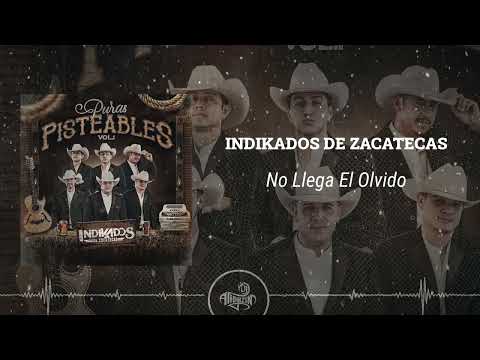 Indikados de Zacatecas - No Llega El Olvido (En vivo 2025)
