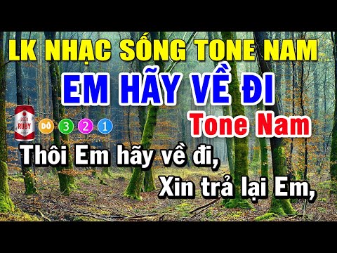 Karaoke Liên Khúc Nhạc Trữ Tình Bolero Tone Nam | Em Hãy Về Đi – Nỗi Buồn Hoa Phượng