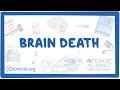 Brain Death Declaration Process