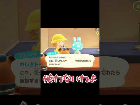 どうしても買いたいフランソワとどうしても買わせたくない私【あつ森】