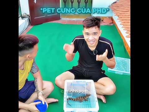 Pet Cưng PHD Và Cái Kết