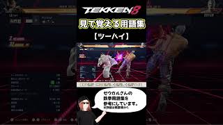 【鉄拳8】見て覚える用語集【ツーハイ】