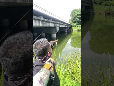outdoor slingshot fishing#outdoors#fishing#fish