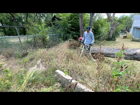 I Couldn't Drive Past This Yard Without Doing Something