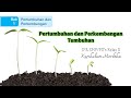 Plant Growth and Development Concepts