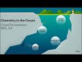 Ocean Carbon and Nutrient Cycles