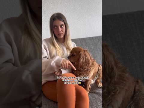 En eğitimli köpek benim köpeğim??? #köpekvideoları #dog #shots