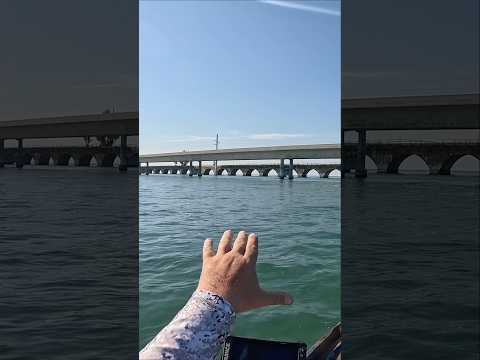 I caught the ONE Fish NOBODY Wants to Catch!!