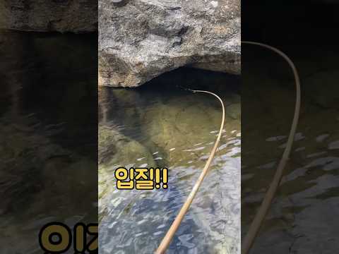 꺽지 구멍치기 (큰 바위를 공략할땐..)