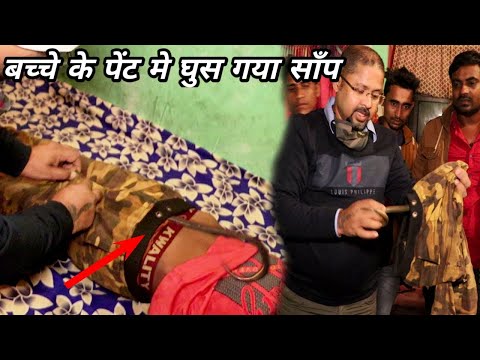 बच्चे के पेंट में घुस गया सांप