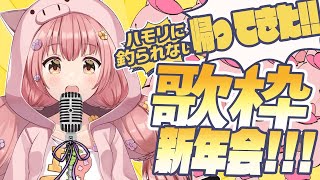 🌻一人新年会🍖帰ってきた！！ハモリ我慢会！！！！