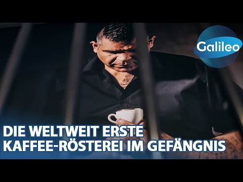 Leckerer Kaffee aus dem Gefängnis: Wie dieses Projekt Leben verändert!