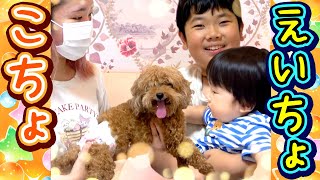 動画サムネイル