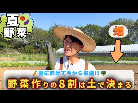【野菜づくりの基礎】プロがやる土づくり完全版🍅お家でも簡単に