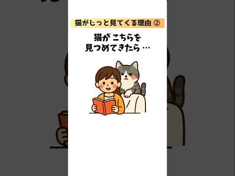 猫の動画サムネイル - 【猫のおもしろ雑学】猫がじっと見てくる理由13選！② #猫 #雑学 #豆知識 #トリビア