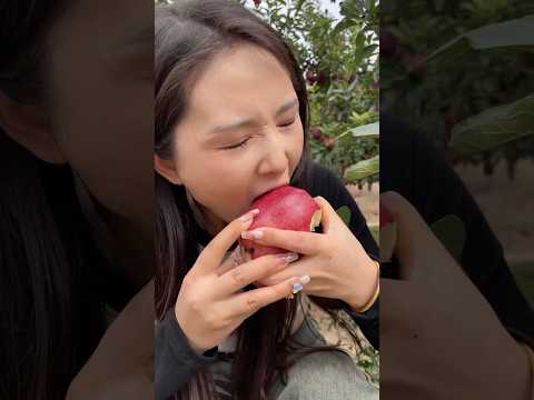 I will not let my apple break you #ihavethisthingwithplants #farmfresh