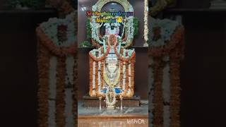 SriRaghavendraSwamy #temple #guru #devotional #raghavendraswamy #2026 #pooja #blessings #2026 #song