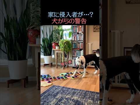 警告をしようとしている…