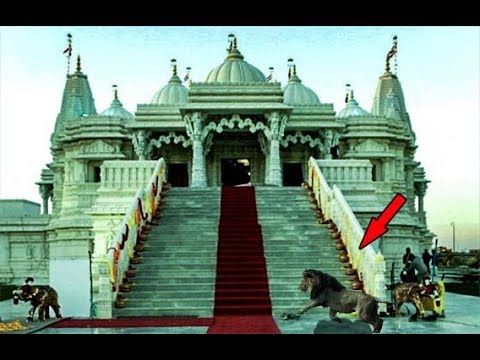 माँ के इस मंदिर में पहरा देता हे ये शेर , माँ का चमत्कारी मंदिर