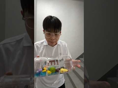 Honey! Would you make a lego bottle for me?