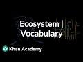 Understanding Ecosystems