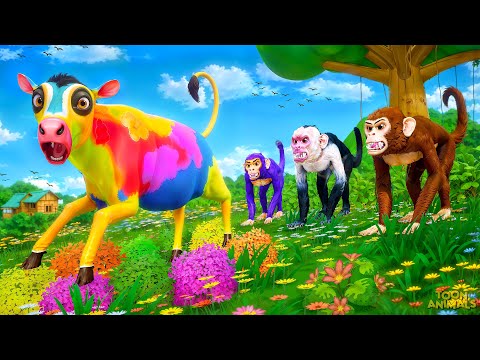 3 Monkeys Chase Colorful Cow Calf! Funny Animals Pranks Gone Wild