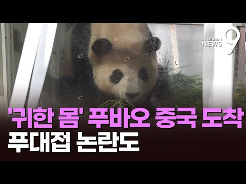 중국 도착 푸바오 '푸대접' 논란…사과 먹는 모습도 공개