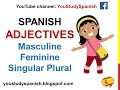 Comprensión de Adjetivos y Concordancia en Español