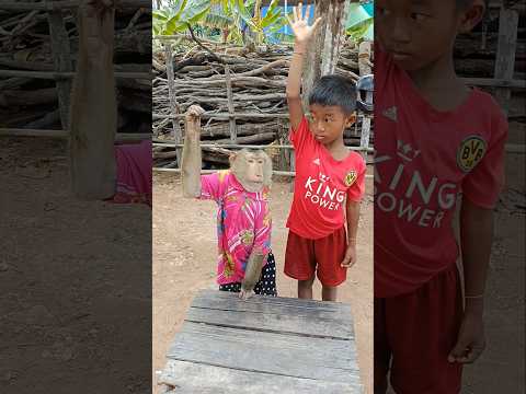 Perfect video SokYaa,OG, To To And Mom Are Famous & Amazing #shorts