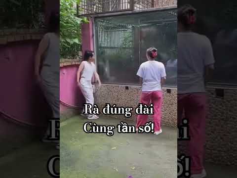 Vui là cười, cười là vui!