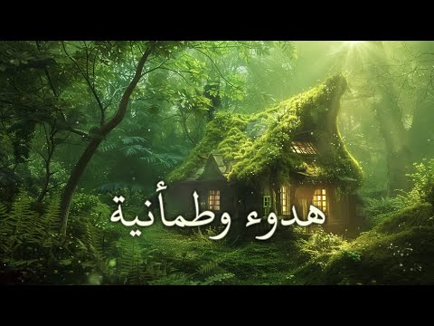 هدوء وطمأنينة تلاوة قرآنية هادئة quran recitation