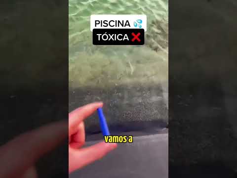 Esta pastilla limpiará mi piscina tóxica????