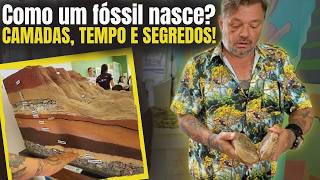 PTEROSSAURO BRASILEIRO: A CRISTA QUE MUDOU TUDO! VOAVA ASSIM? SEGREDOS REVELADOS! 🦖✨