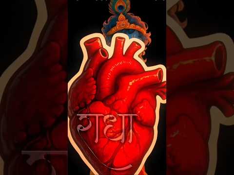 Tu mera hai l Radhe Krishna l कृष्णा शॉर्ट्स l राधेकृष्णाभजनlकृष्णाप्रेमlभक्तिमोटिवेशन#ytshorts #yt