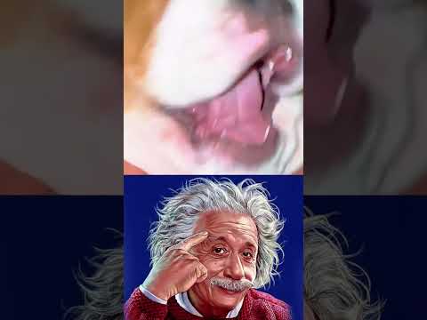 ¿También así es tu perritx? #shorts #viralshorts #humor