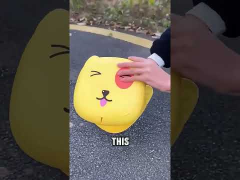 Poop Device Toss the Bag #toys #cat #diy #craft